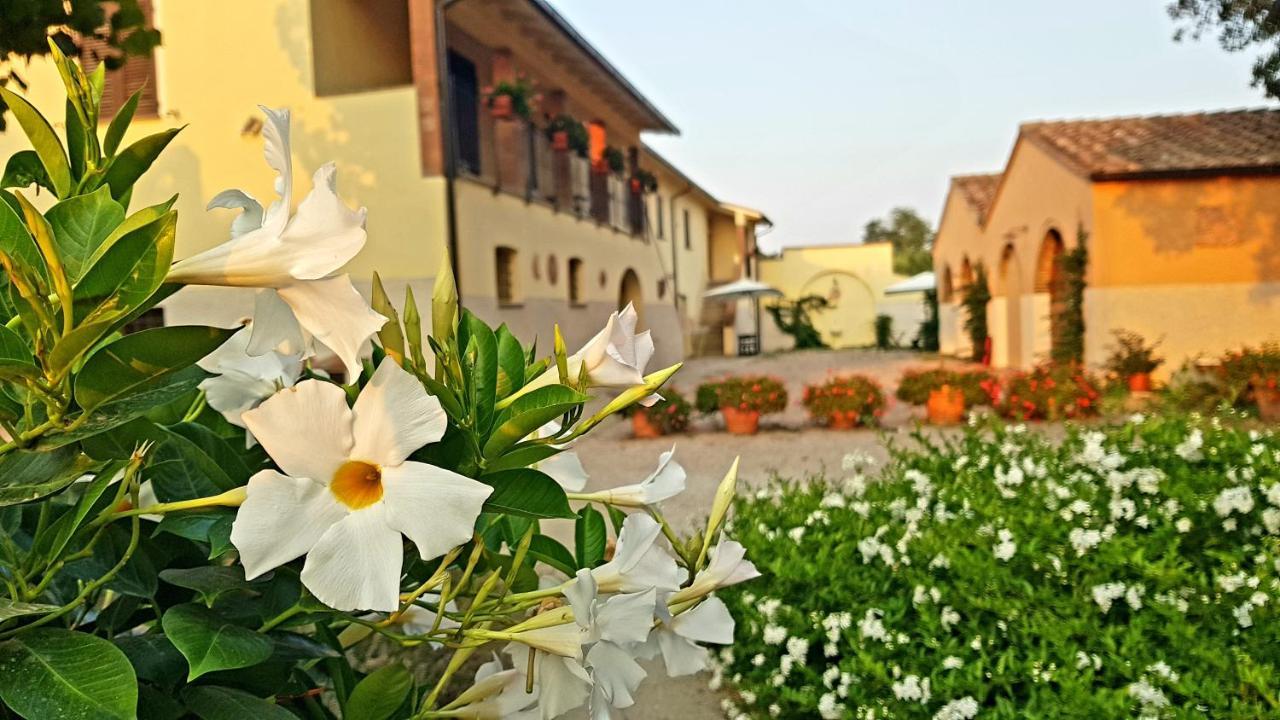Punta Dei Lecci Villa Riparbella Ngoại thất bức ảnh